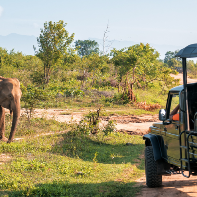 Yala National Park