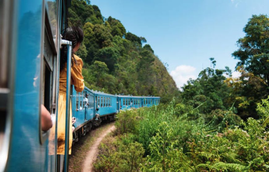 Solo Holidays to Ceylon